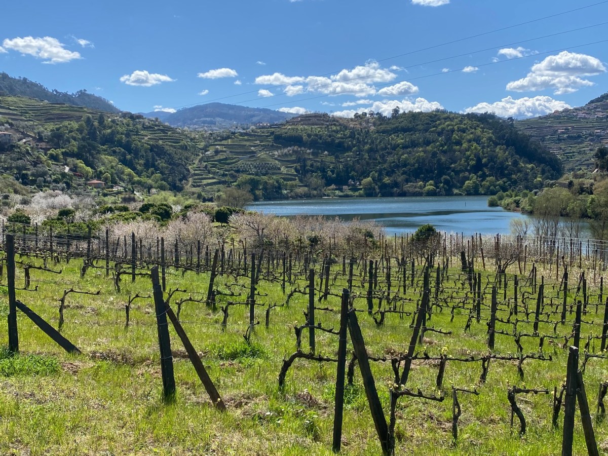 Douro Valley, Portugal – Amazing Wine&nbsp;Country!